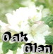 Oak Glen Links