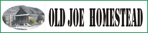 Old Joe Homestead Adventure