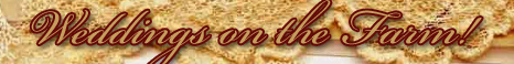 Banner Advertisement