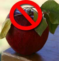 No Stem Wood