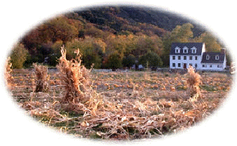 The Farm in Autumn