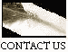 Contacting Us