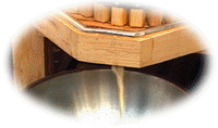 Cider