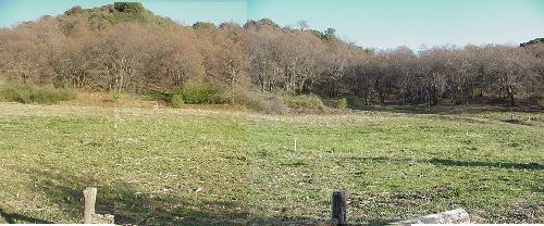 The hills by the Corn Patch