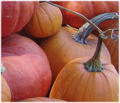 Pumpkins!