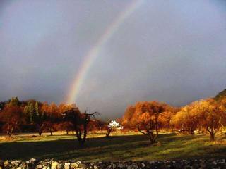 An Oak Glen Rainbow  -- January 2000